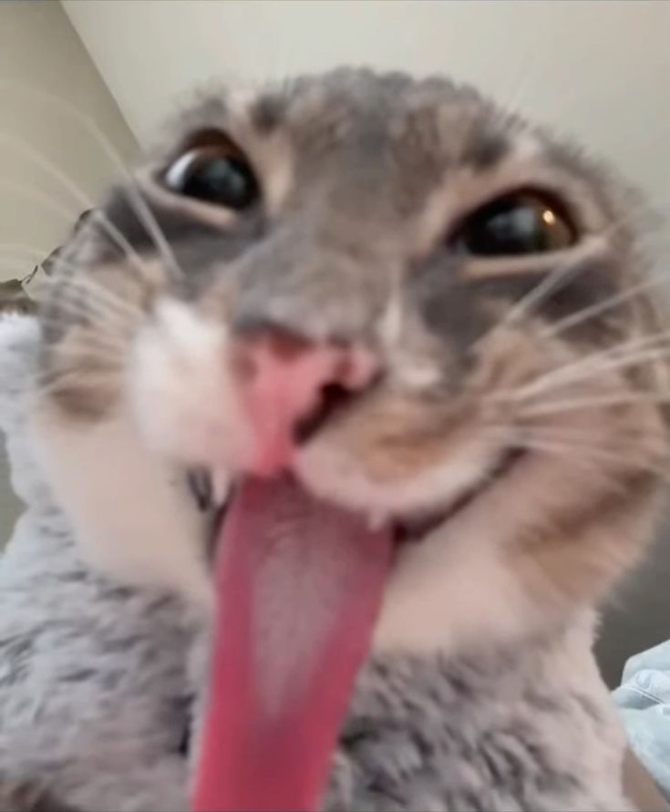 個人照片